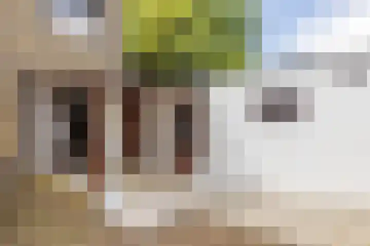Burg. Smeetsstraat 30 Munstergeleen thumbnail 22