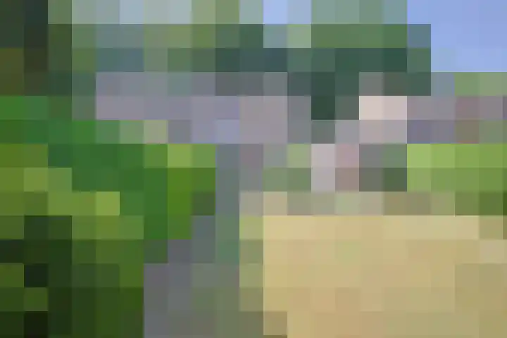 Burg. Smeetsstraat 8 Munstergeleen thumbnail 4