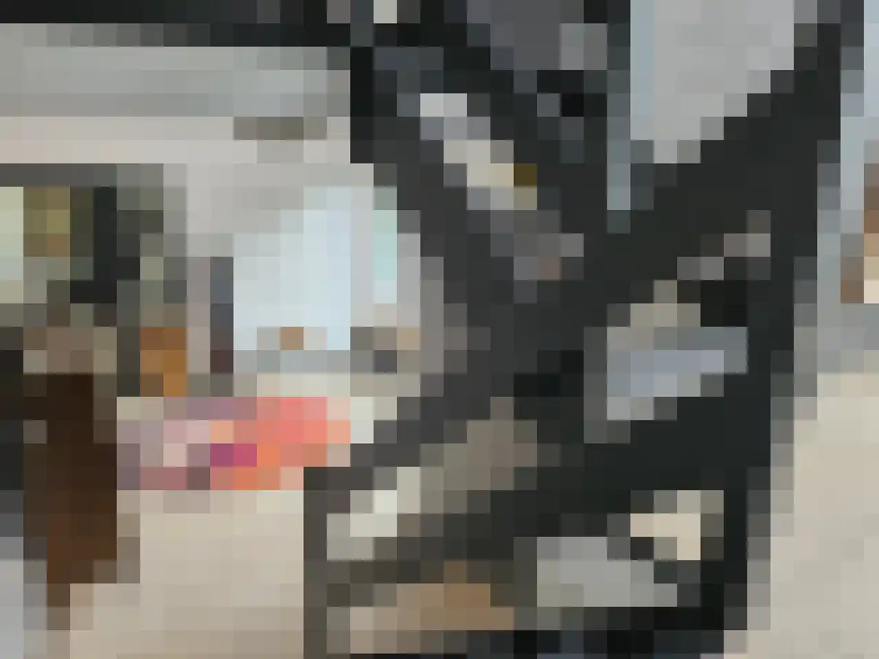 Burg. Snijdersstraat 17 Wijnandsrade thumbnail 10