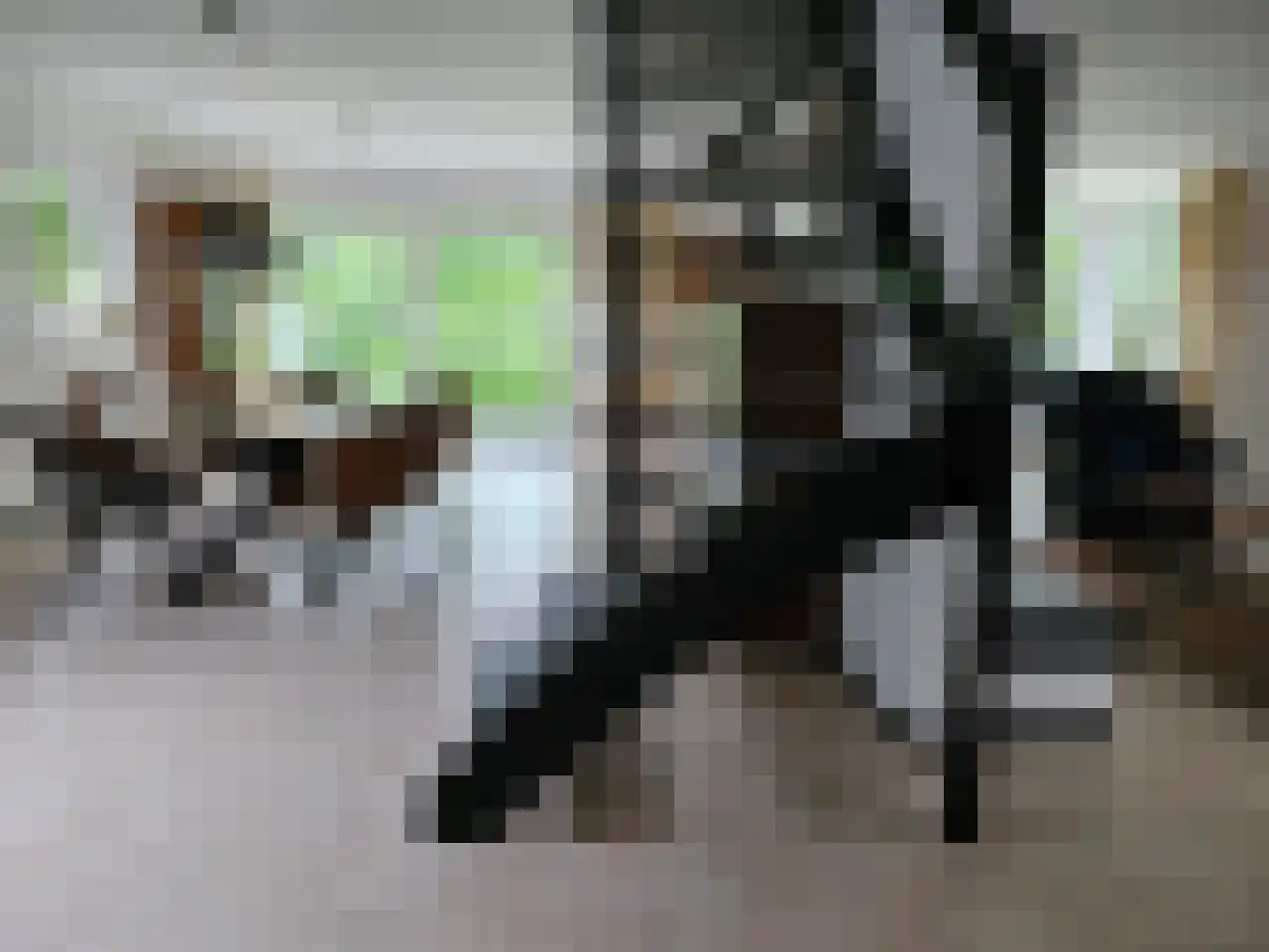 Burg. Snijdersstraat 17 Wijnandsrade thumbnail 14