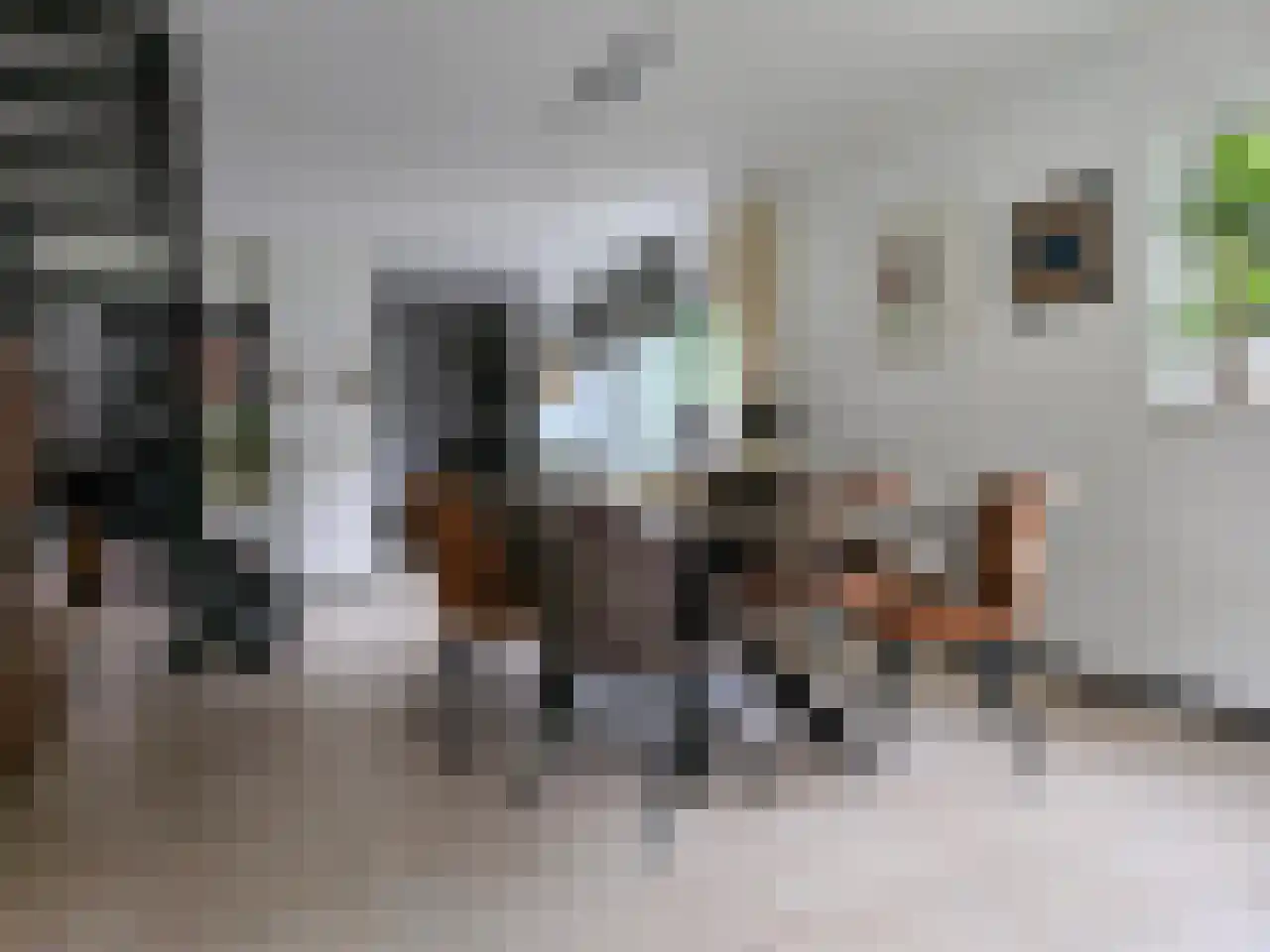 Burg. Snijdersstraat 17 Wijnandsrade thumbnail 15
