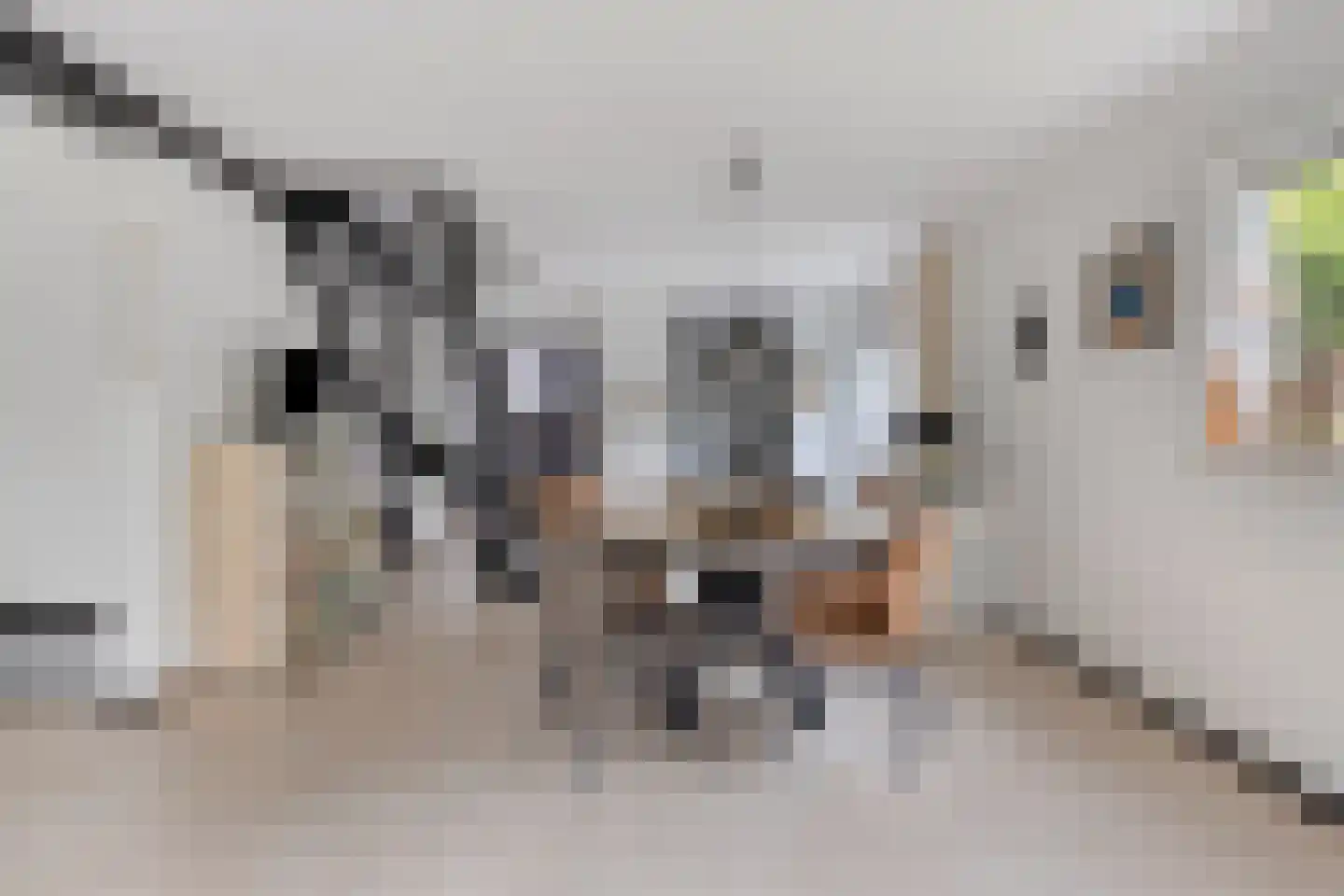 Burg. Snijdersstraat 17 Wijnandsrade thumbnail 21