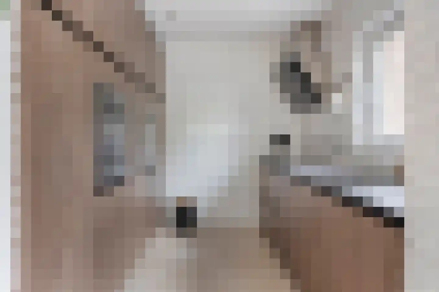 Burg. Snijdersstraat 17 Wijnandsrade thumbnail 4