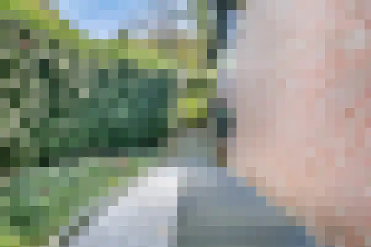 Burg. Snijdersstraat 17 Wijnandsrade thumbnail 4