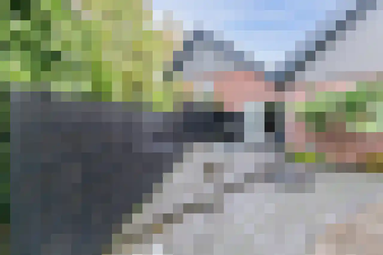 Burg. Snijdersstraat 17 Wijnandsrade thumbnail 8