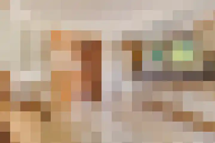 Burg. Snijdersstraat 3 Wijnandsrade thumbnail 10
