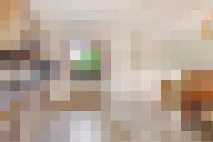 Burg. Snijdersstraat 3 Wijnandsrade thumbnail 11