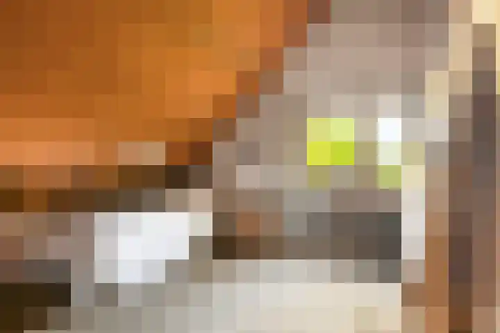 Burg. Snijdersstraat 3 Wijnandsrade thumbnail 26