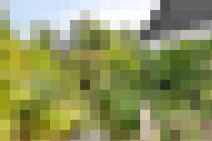 Burg. Snijdersstraat 3 Wijnandsrade thumbnail 35