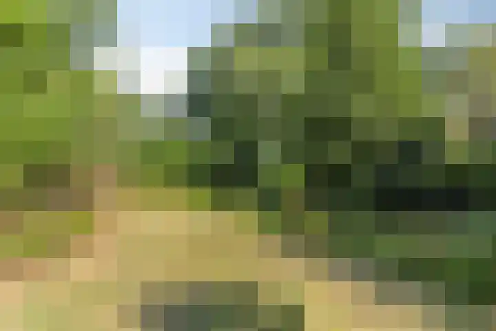 Burg. Snijdersstraat 3 Wijnandsrade thumbnail 36