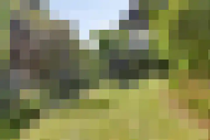 Burg. Snijdersstraat 3 Wijnandsrade thumbnail 37
