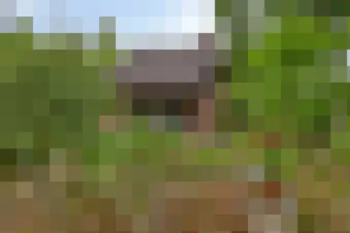 Burg. Snijdersstraat 3 Wijnandsrade thumbnail 39