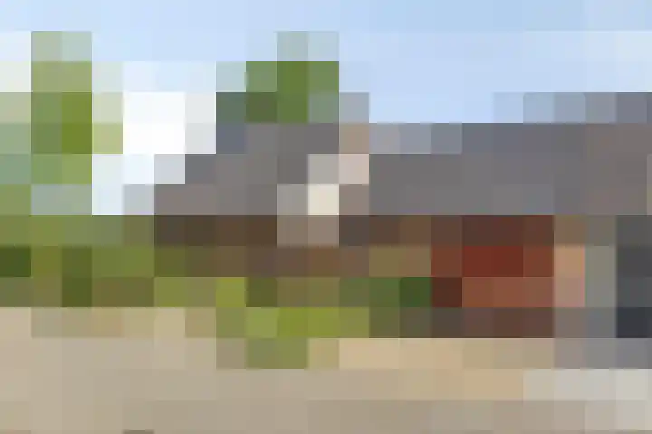 Burg. Snijdersstraat 3 Wijnandsrade thumbnail 43