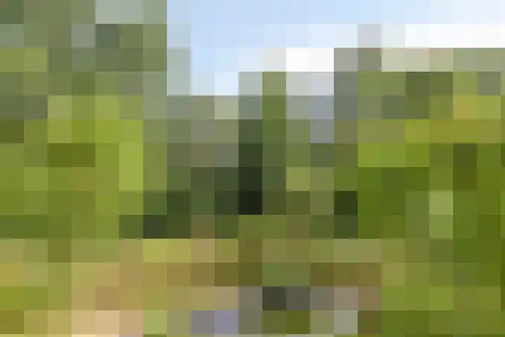 Burg. Snijdersstraat 3 Wijnandsrade thumbnail 5