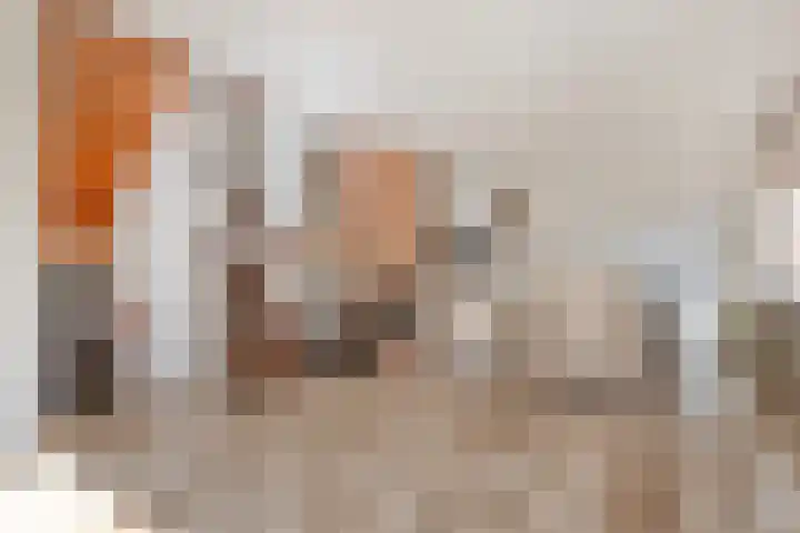Burg. Snijdersstraat 3 Wijnandsrade thumbnail 9