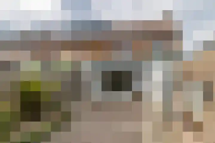 Burg Strijkersstraat 29 Urmond thumbnail 24