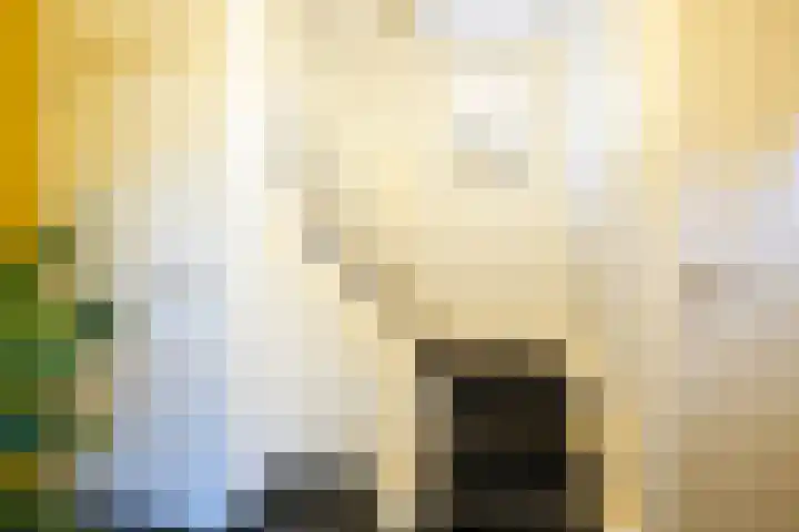 Burg Strijkersstraat 7 Urmond thumbnail 22
