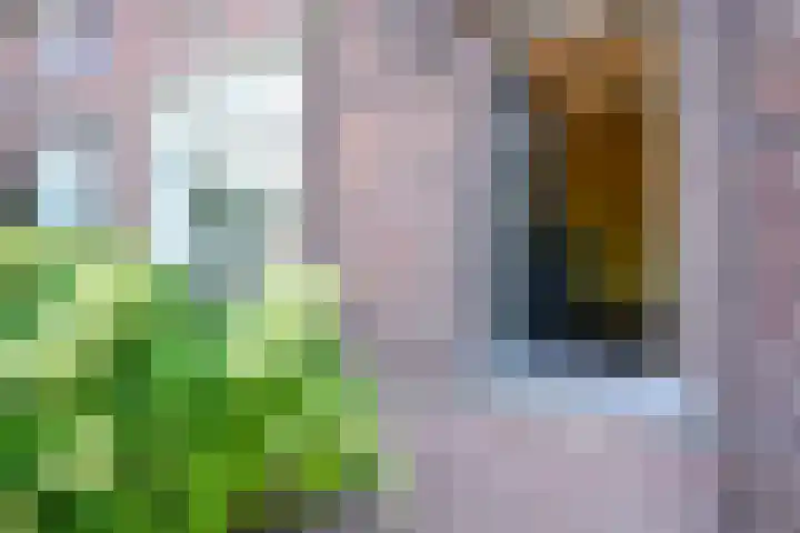 Burg Strijkersstraat 7 Urmond thumbnail 5