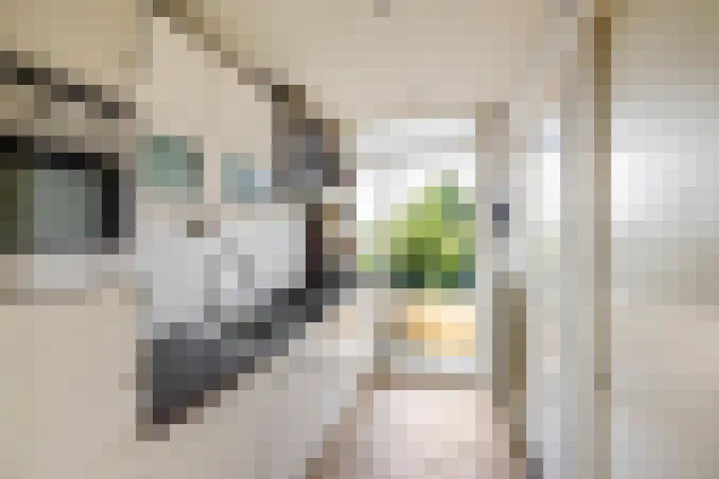 Burg Stronkhorststr 14 Sappemeer thumbnail 12