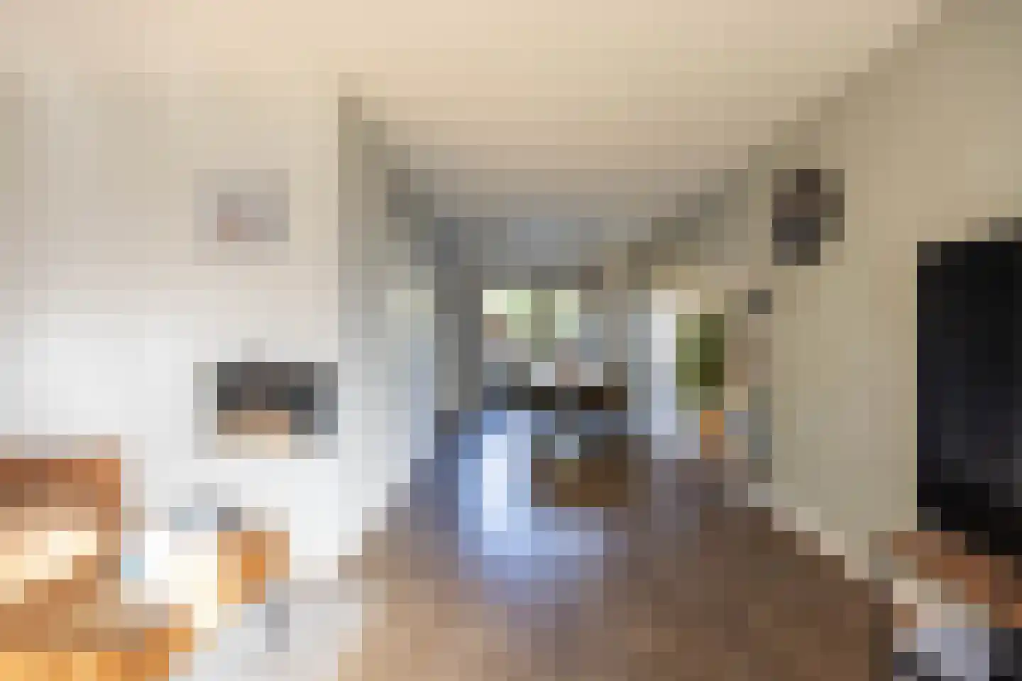 Burg Stronkhorststr 21 Sappemeer thumbnail 16