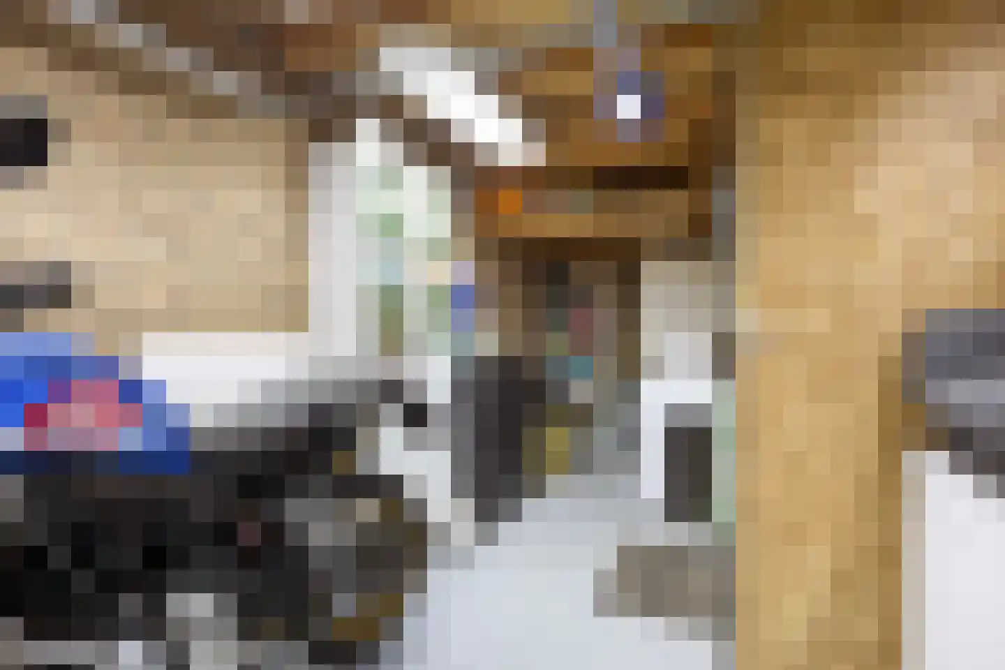 Burg Stronkhorststr 21 Sappemeer thumbnail 28