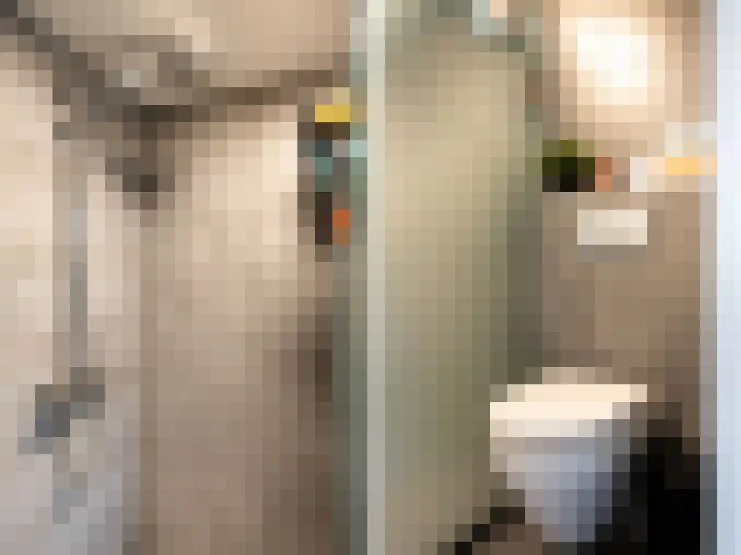 Burg Stronkhorststr 21 Sappemeer thumbnail 39