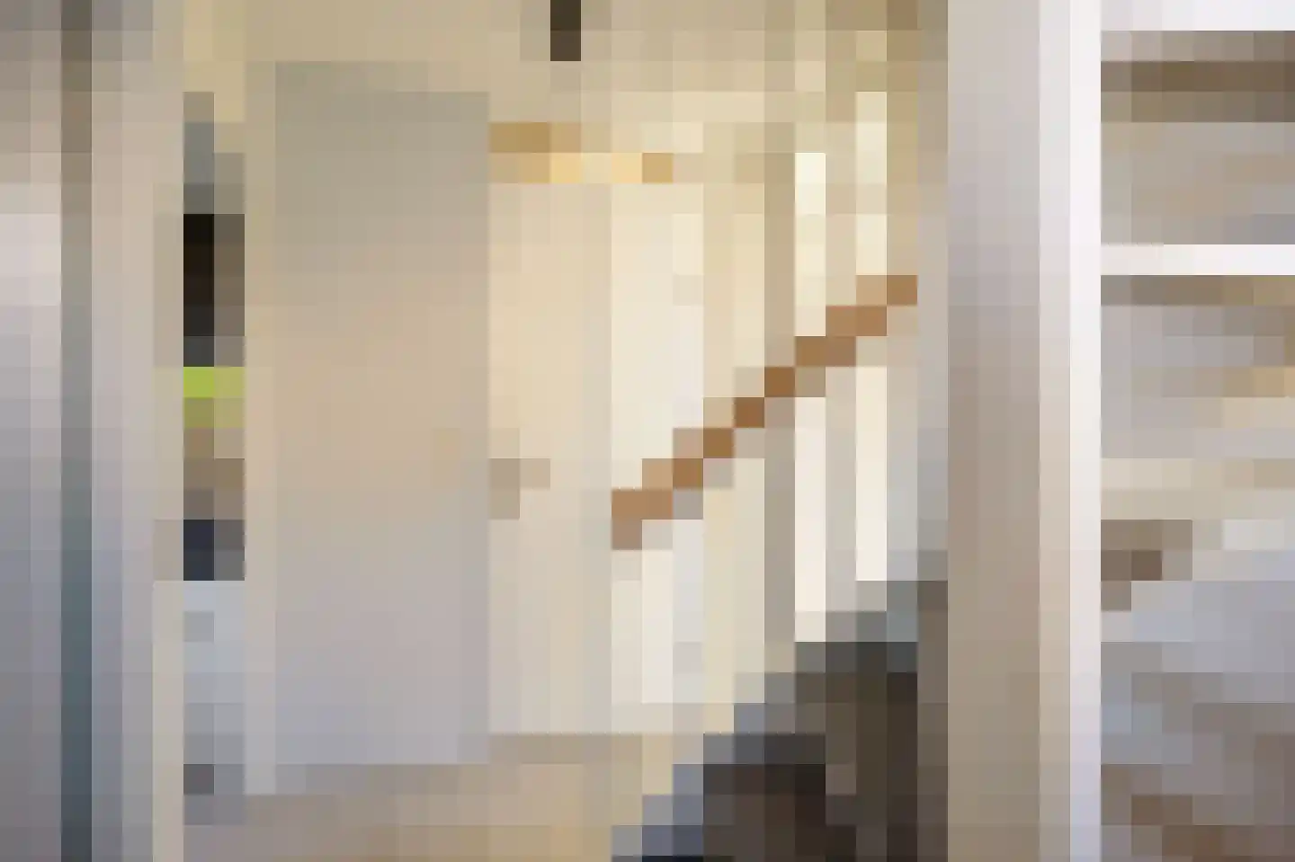 Burg Stronkhorststr 21 Sappemeer thumbnail 40