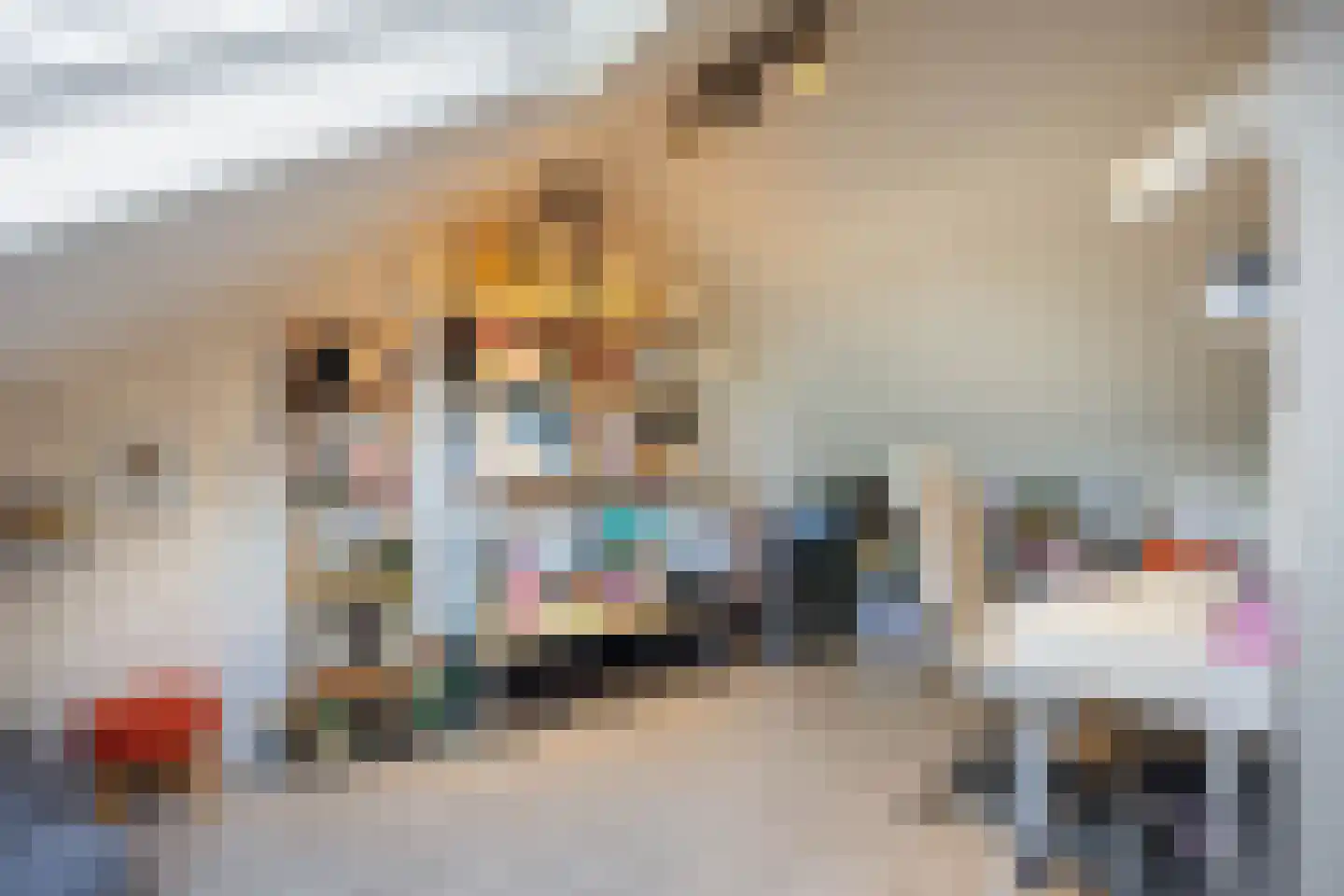 Burg Stronkhorststr 21 Sappemeer thumbnail 41