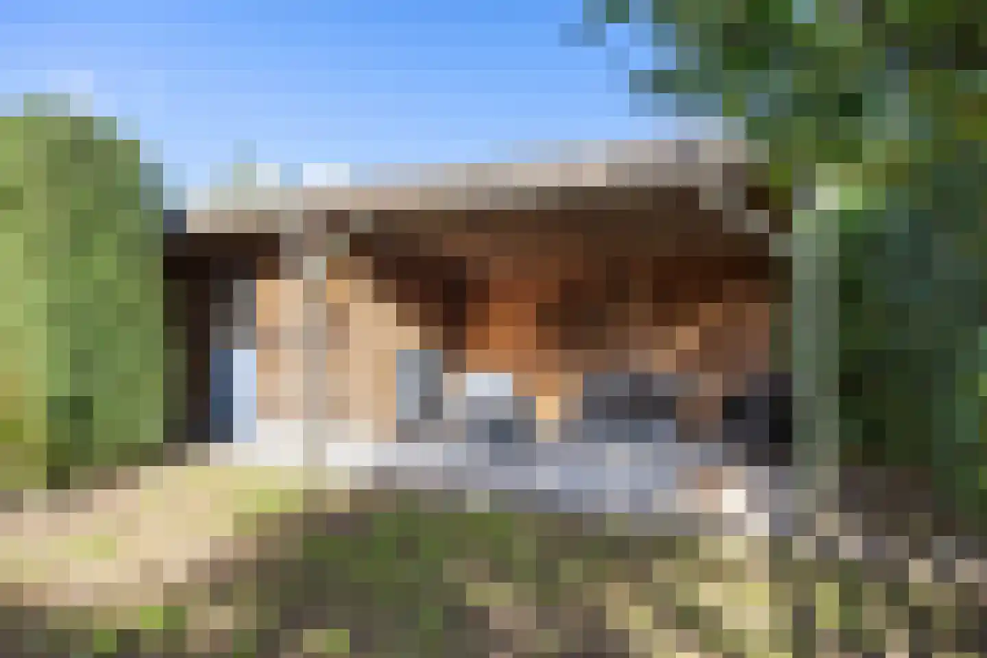 Burg Stronkhorststr 21 Sappemeer thumbnail 48