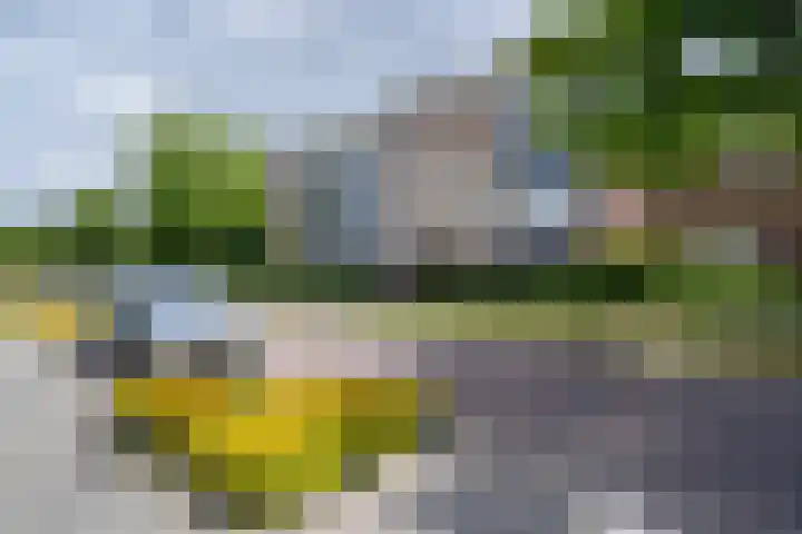 Burg Stronkhorststr 24 Sappemeer thumbnail 17