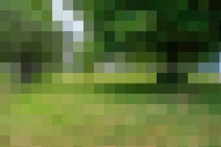 Burg Stronkhorststr 24 Sappemeer thumbnail 21