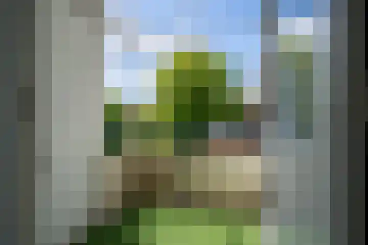 Burg Stronkhorststr 24 Sappemeer thumbnail 4