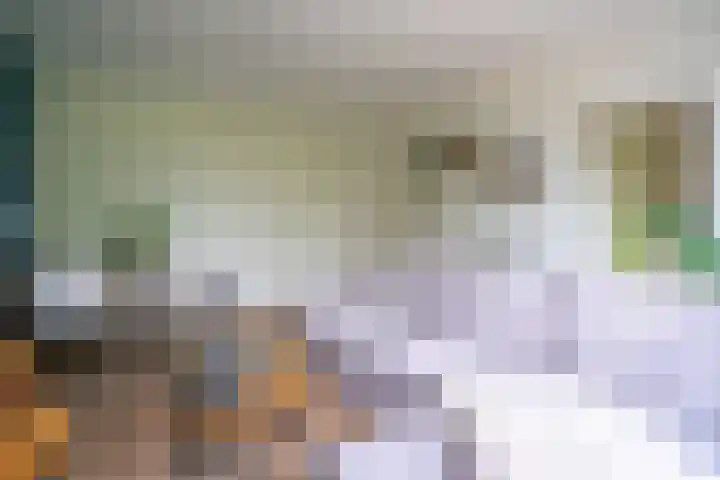 Burg Stronkhorststr 24 Sappemeer thumbnail 9