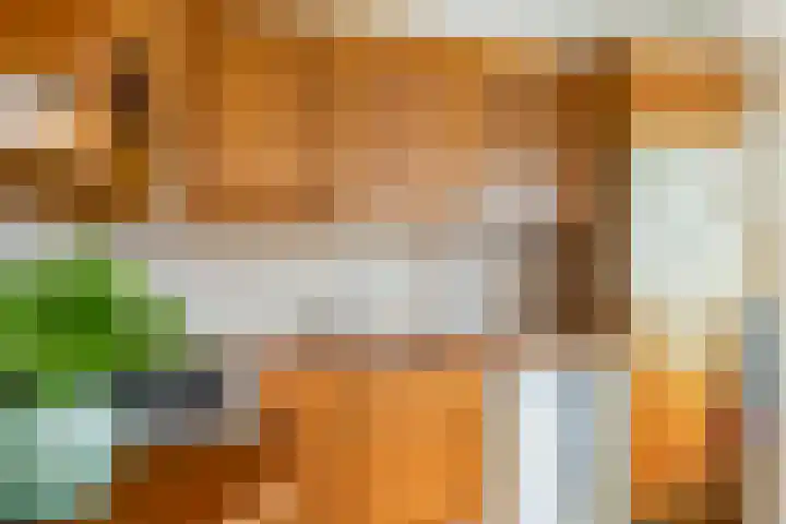 Burg. Talsmaweg 15 Kamerik thumbnail 15