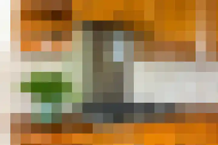 Burg. Talsmaweg 15 Kamerik thumbnail 17