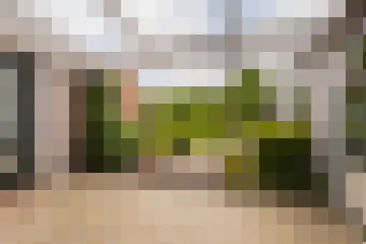 Burg. Talsmaweg 15 Kamerik thumbnail 23