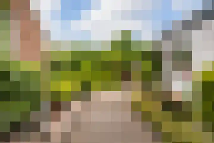 Burg. Talsmaweg 15 Kamerik thumbnail 24
