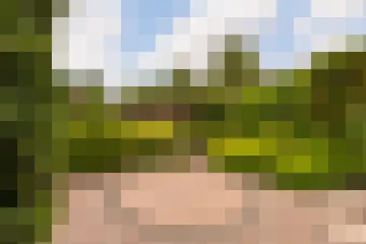 Burg. Talsmaweg 15 Kamerik thumbnail 25
