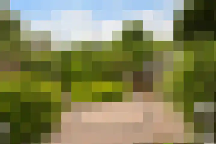 Burg. Talsmaweg 15 Kamerik thumbnail 27