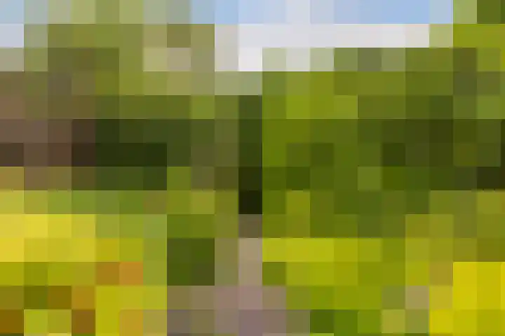 Burg. Talsmaweg 15 Kamerik thumbnail 28