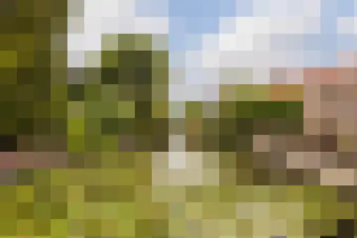 Burg. Talsmaweg 15 Kamerik thumbnail 29
