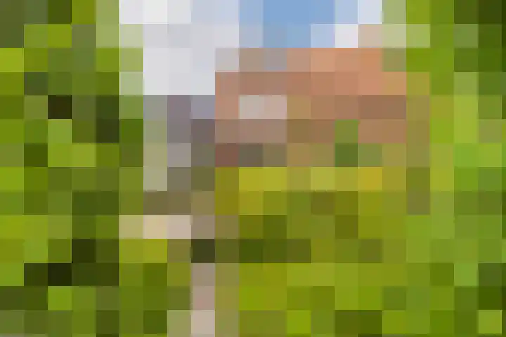 Burg. Talsmaweg 15 Kamerik thumbnail 30