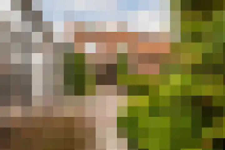 Burg. Talsmaweg 15 Kamerik thumbnail 31