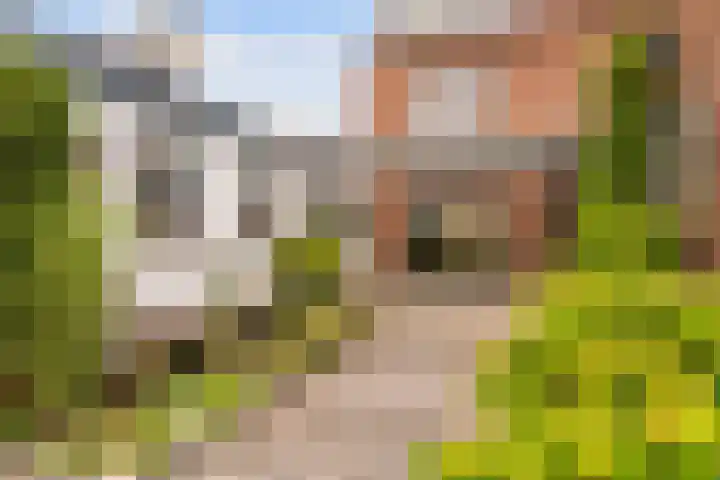 Burg. Talsmaweg 15 Kamerik thumbnail 33