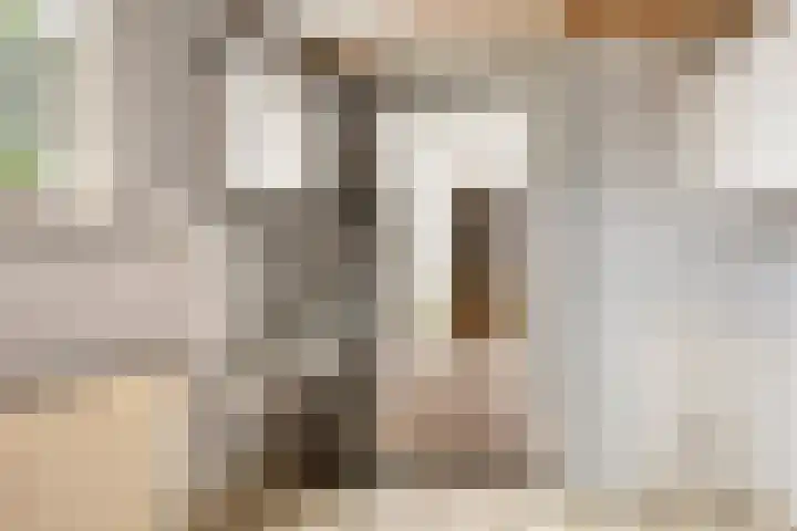 Burg. Talsmaweg 15 Kamerik thumbnail 36