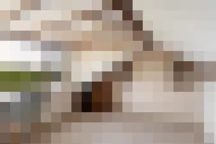 Burg. Talsmaweg 15 Kamerik thumbnail 52