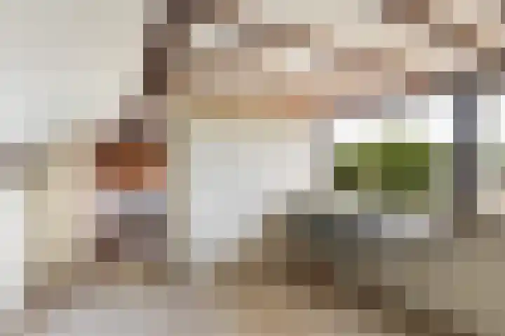 Burg. Talsmaweg 15 Kamerik thumbnail 53