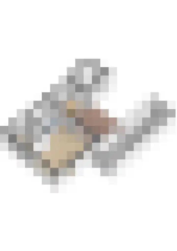 Burg. Talsmaweg 15 Kamerik thumbnail 61