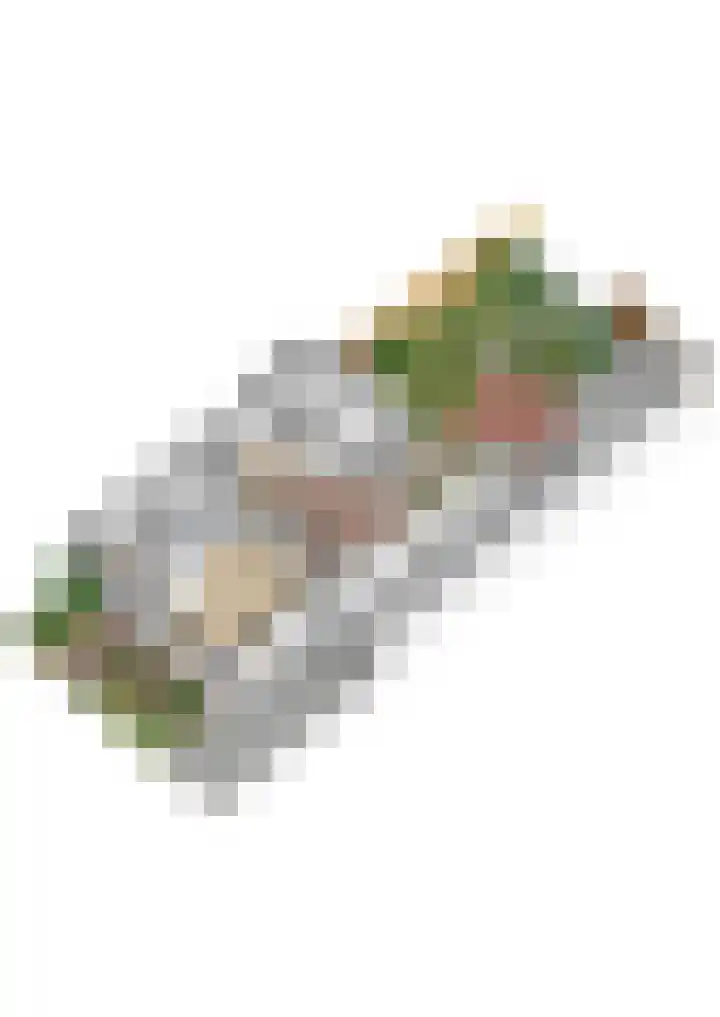 Burg. Talsmaweg 15 Kamerik thumbnail 62