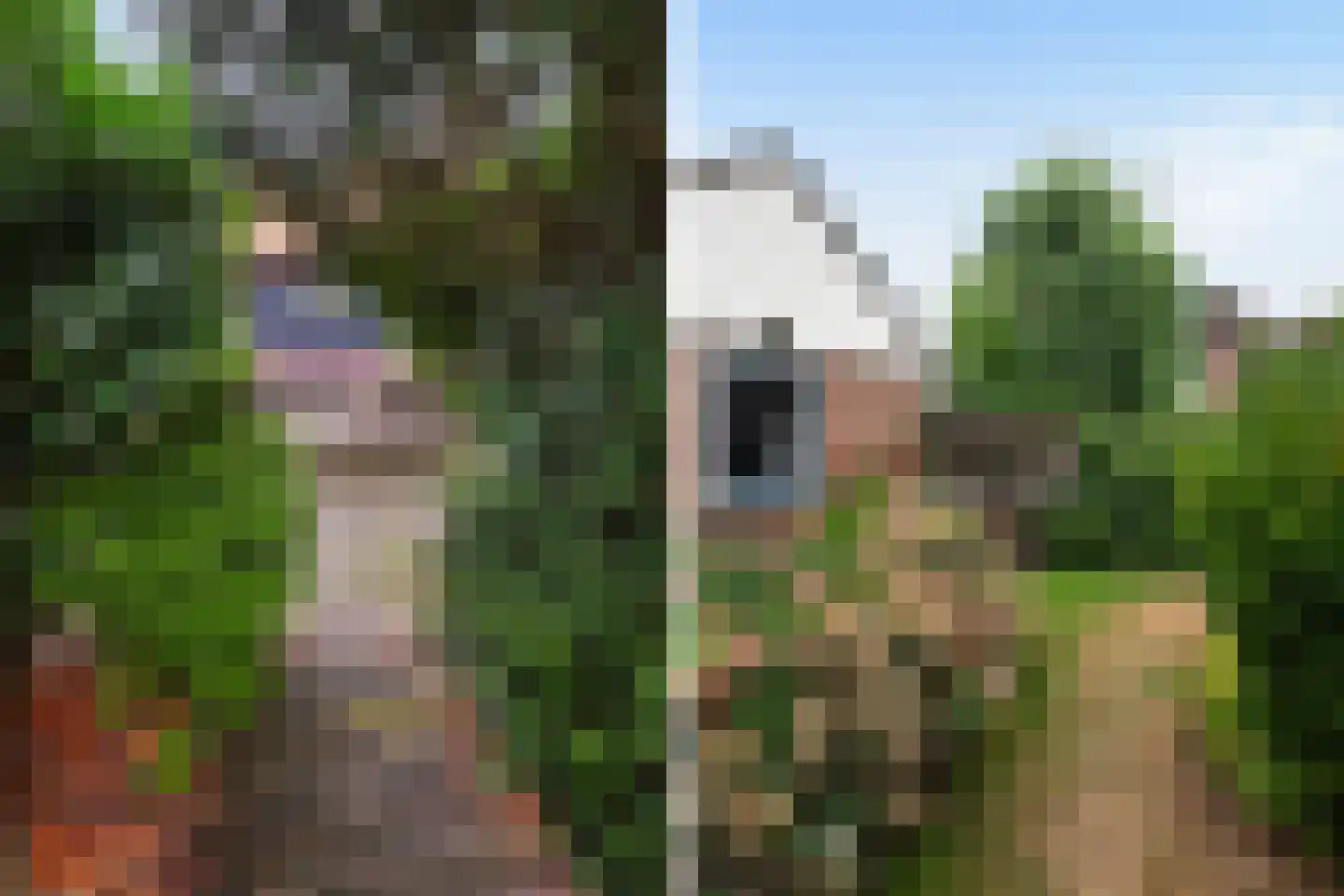 Burg. Talsmaweg 3 Kamerik thumbnail 17